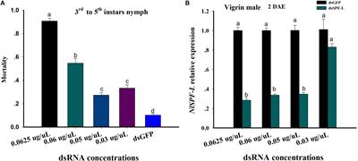 Male Selenoprotein F-Like (SPF-L) Influences Female Reproduction and Population Growth in Nilaparvata lugens (Hemiptera: Delphacidae)